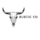 ℝ𝕌𝕊𝕋𝕀ℂ ℂ𝕆